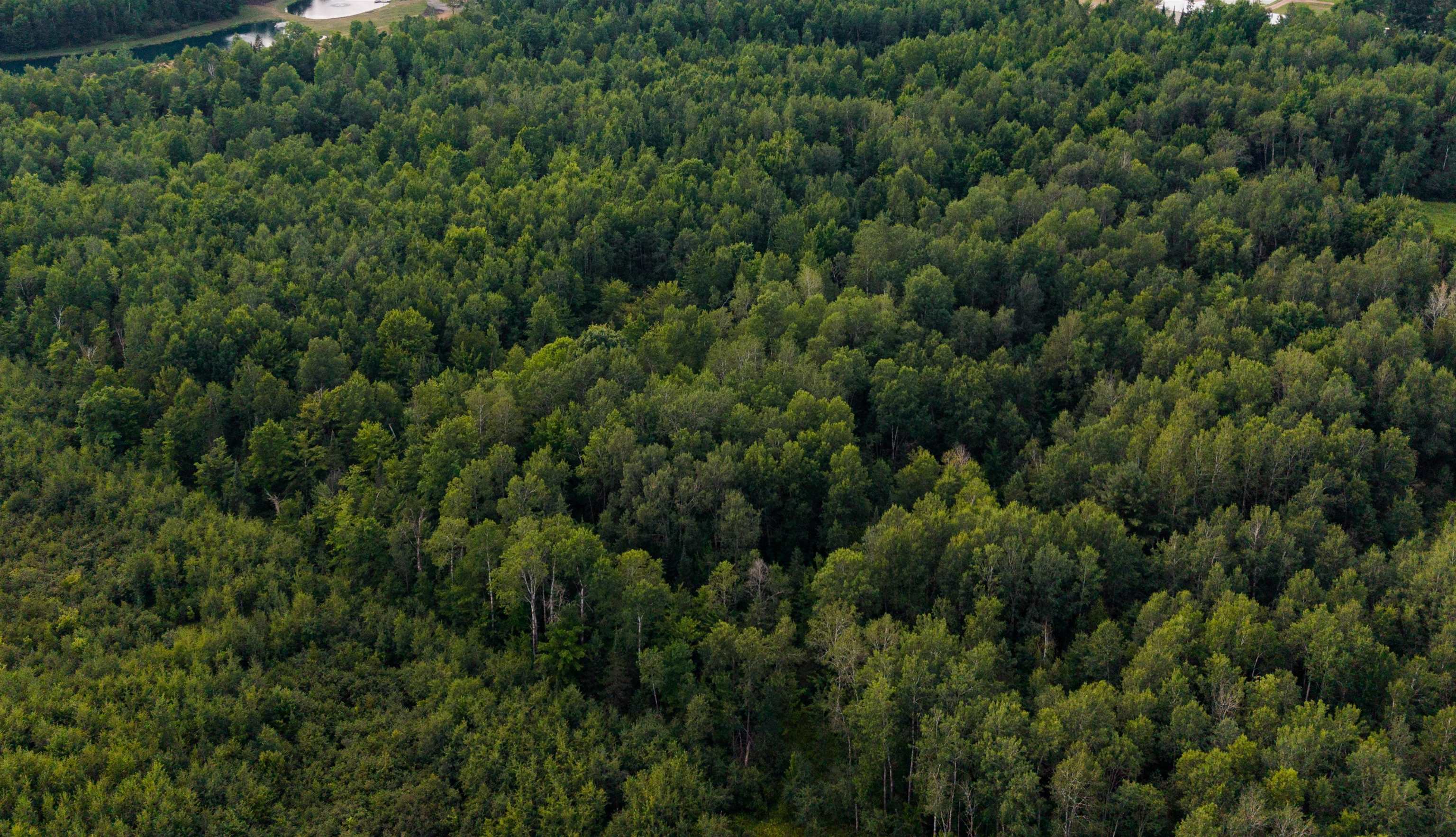 W8605 CRANBERRY TRAIL - Photo 4