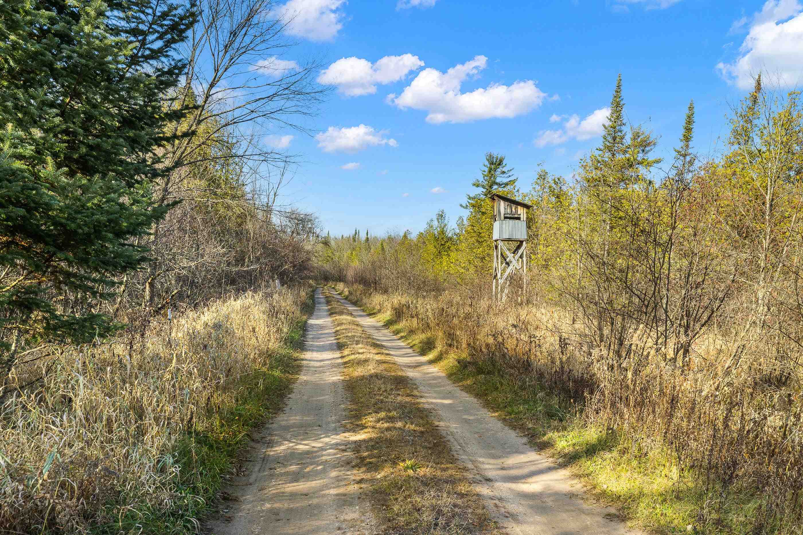 Photo 1 of 21 — Lot 3 MAPLE LANE, Tigerton, WI 54486