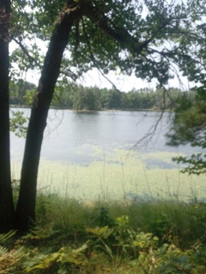 1505 SWALLOW LN, LAC DU FLAMBEAU, WI 54538 - Image dce74e130df724a741a1e68e29bcbe7e/1056489641