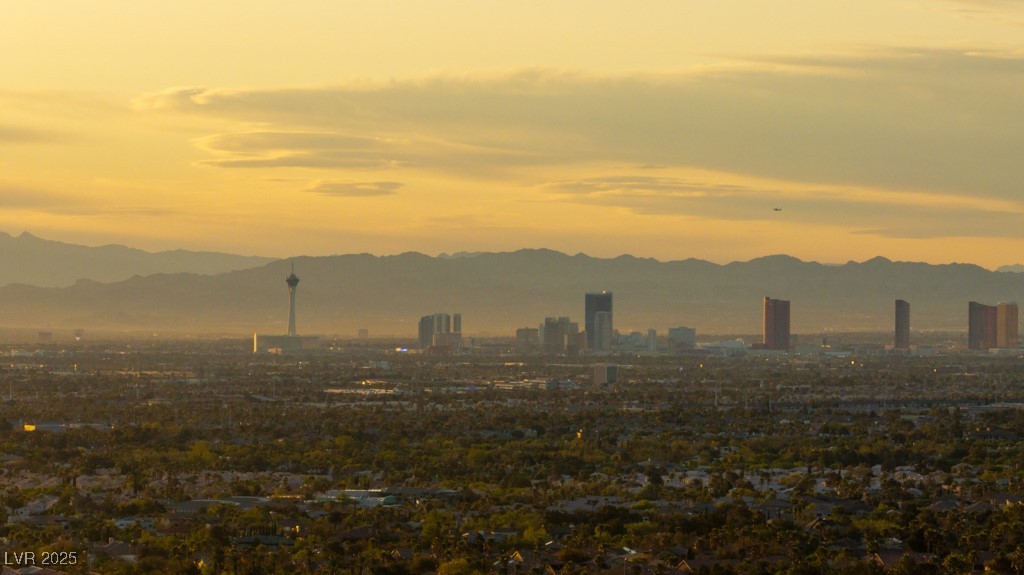 2742 Darby Falls Drive, Las Vegas, Nevada image 8