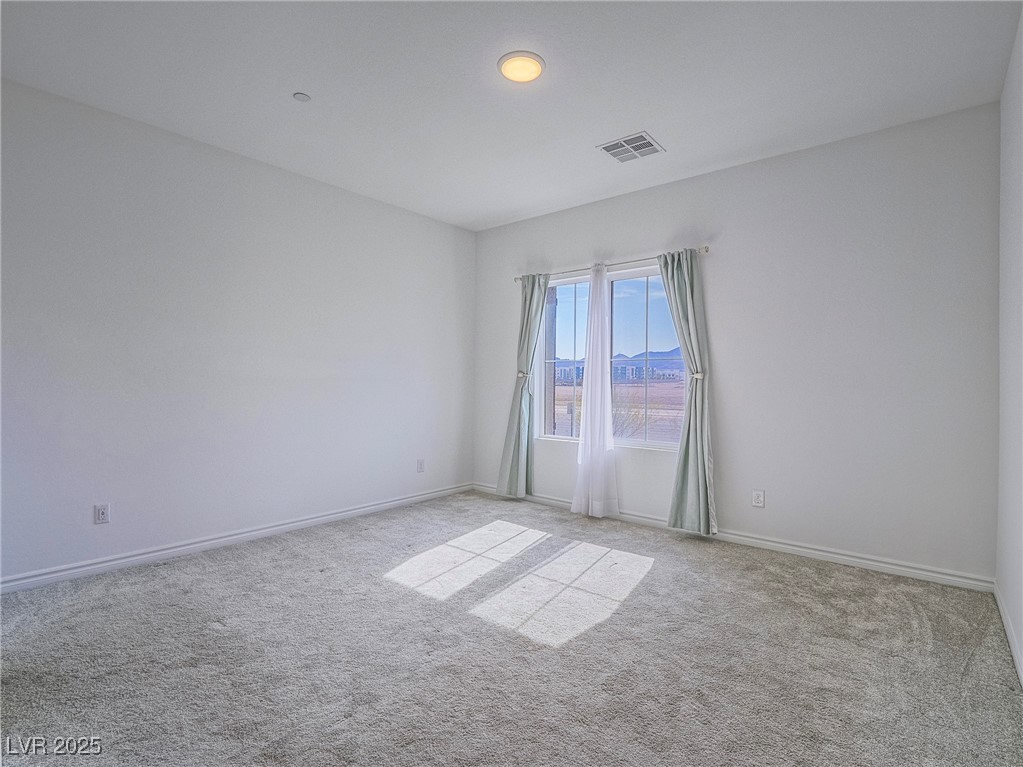 3795 Canis Minor Lane #5102, Henderson, Nevada image 27