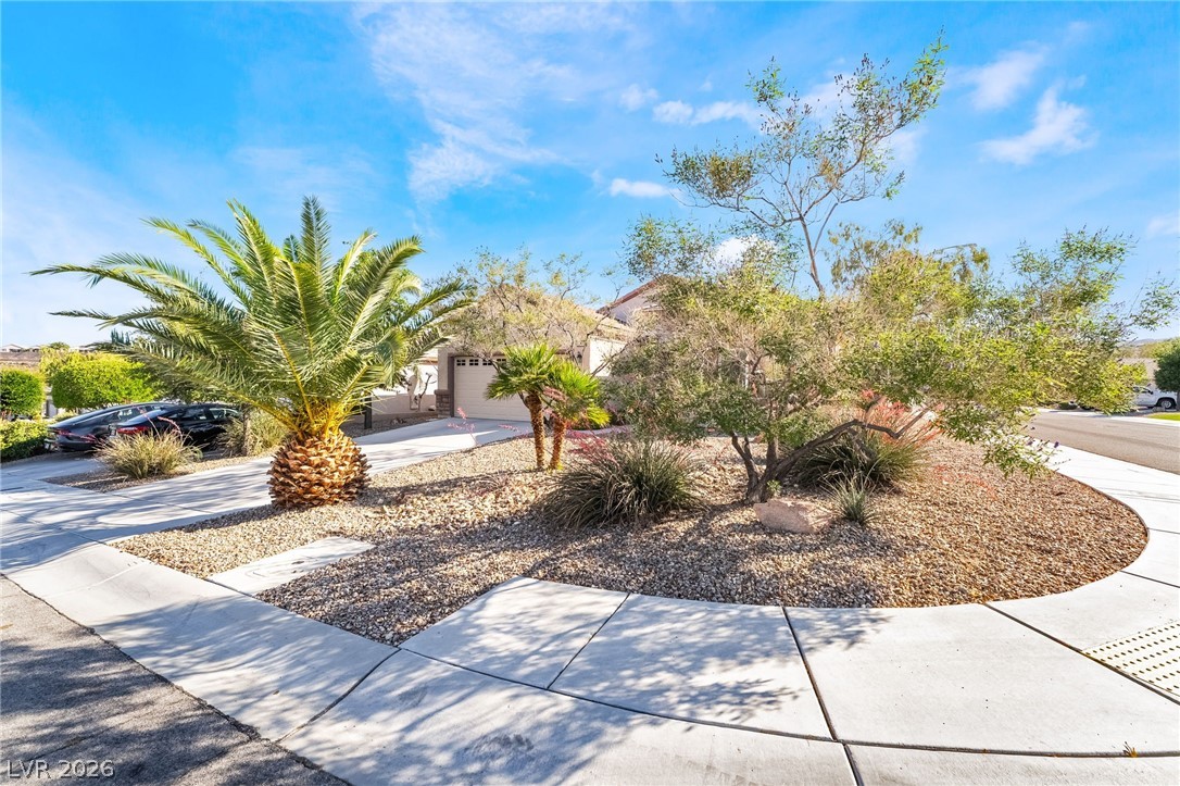 2570 Cosmic Dust Street