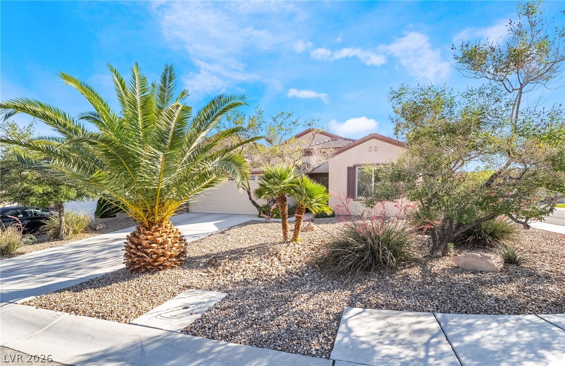 2570 Cosmic Dust Street