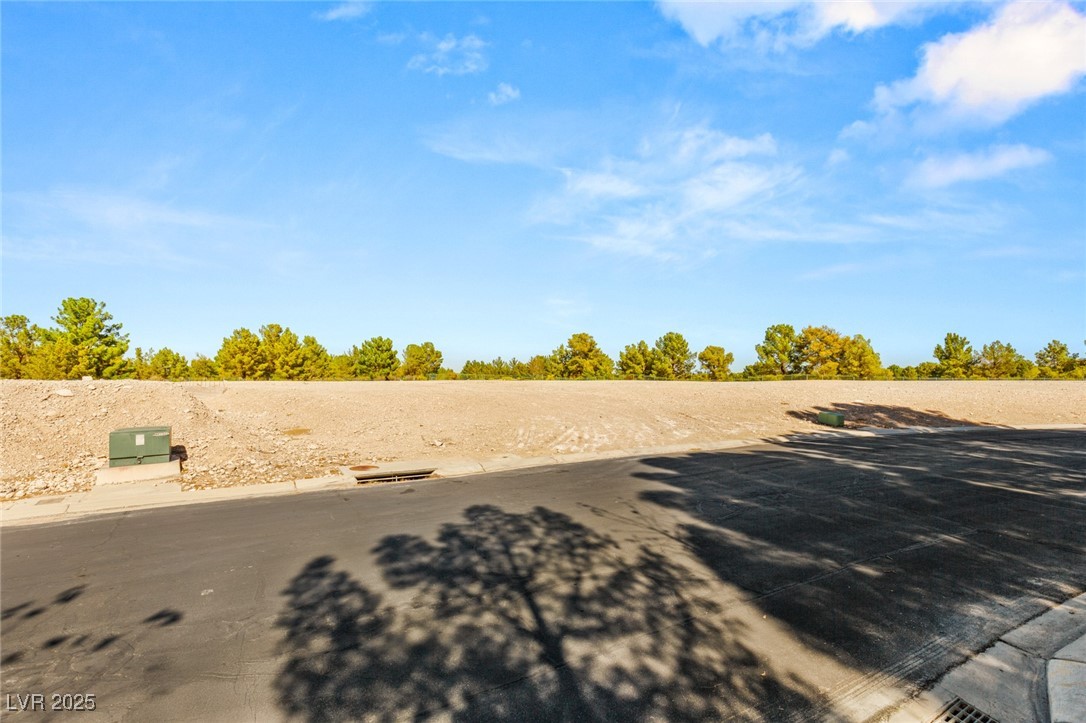 8 Eagles Landing Lane