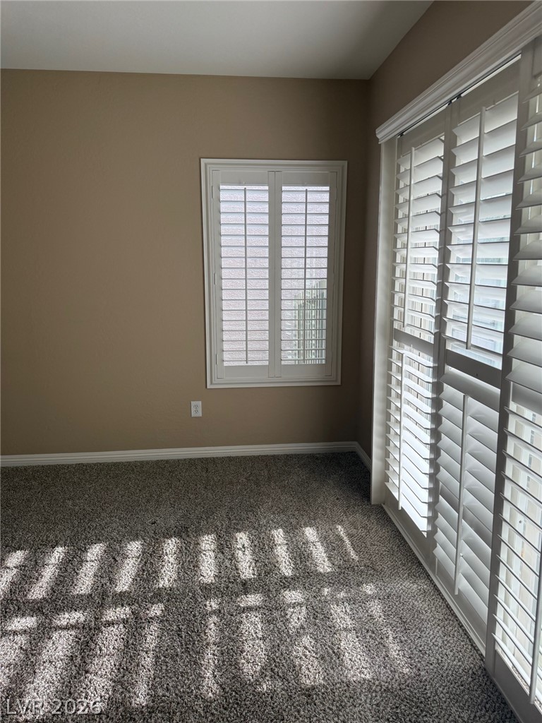 7837 Lily Trotter Street