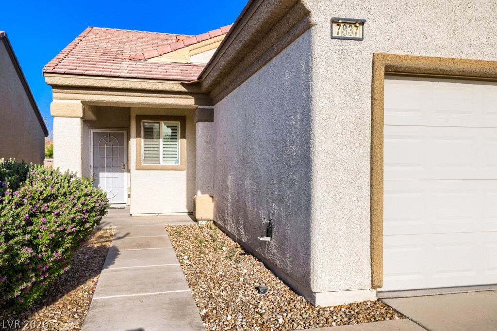 7837 Lily Trotter Street