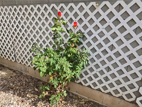 Tiny photo for 2706 Colanthe Avenue, Las Vegas, NV 89102 (MLS # 2747588)