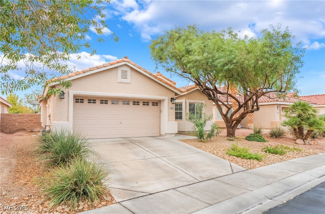 4441 Meadowlark Wing Way