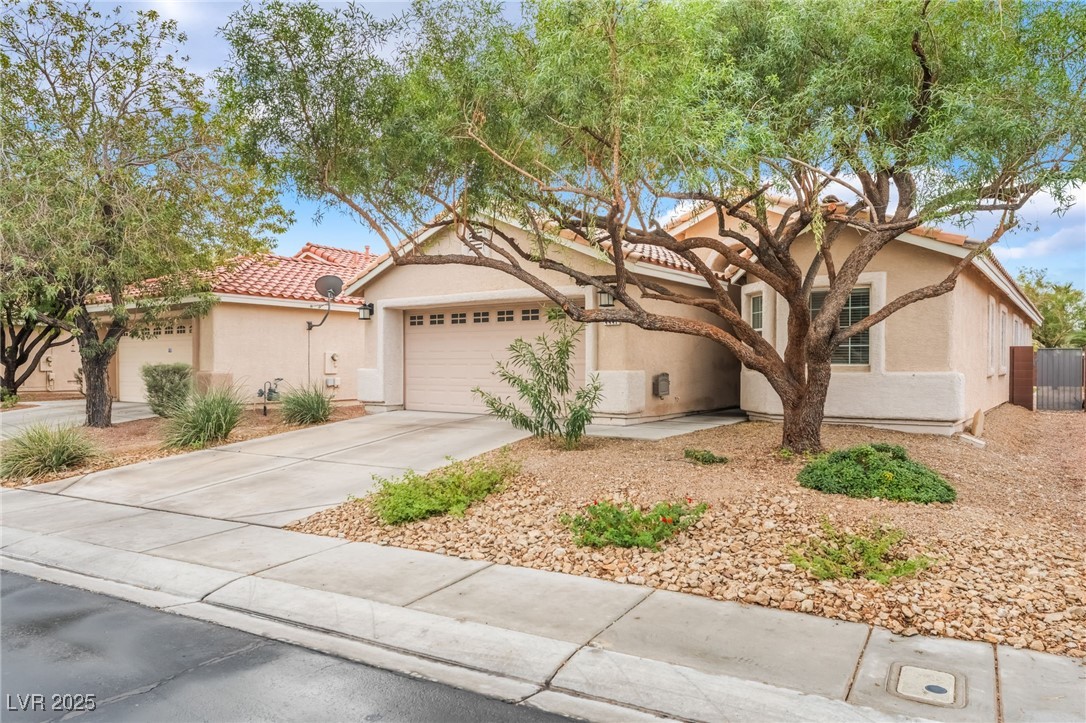 4441 Meadowlark Wing Way