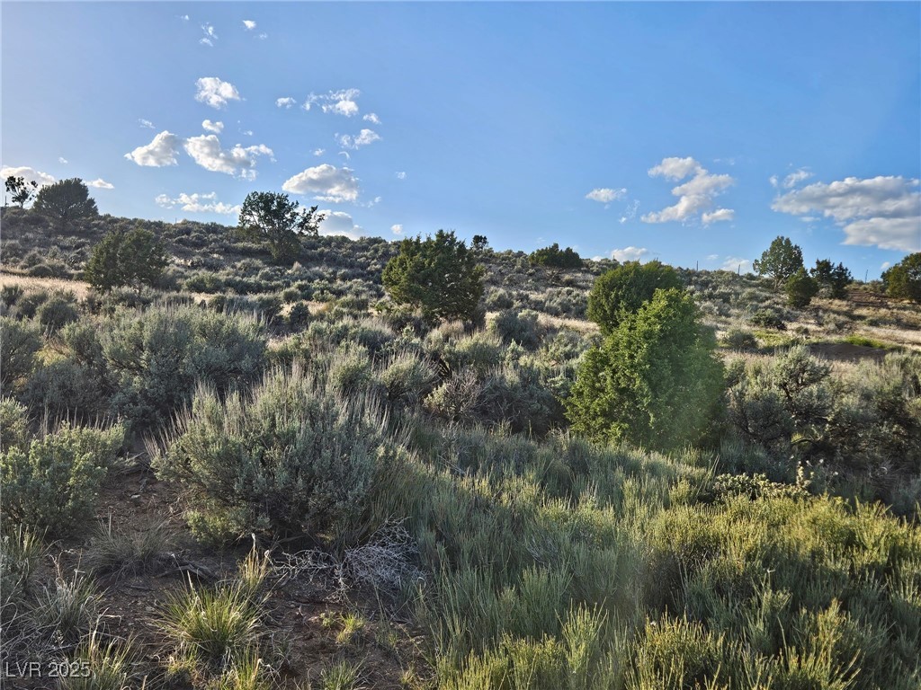T29s R7w S4, Beaver, Utah image 1