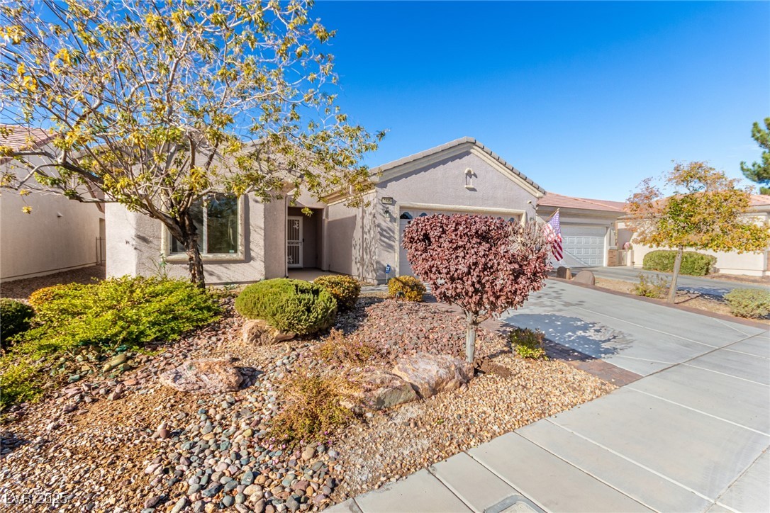 7425 Grassquit Street