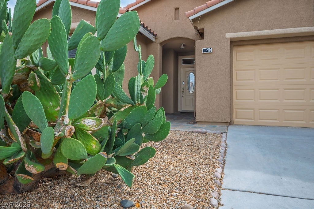 10513 Shanna Trellis Avenue