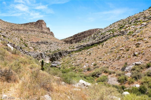 Tiny photo for SW 22-57-15, Mountain Springs, NV 89124 (MLS # 2782106)