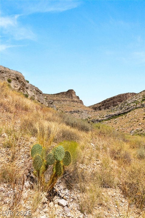 Tiny photo for SW 22-57-15, Mountain Springs, NV 89124 (MLS # 2782106)