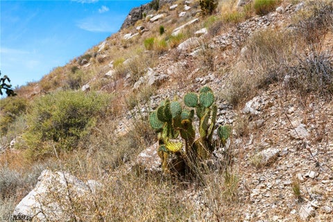 Tiny photo for SW 22-57-15, Mountain Springs, NV 89124 (MLS # 2782106)