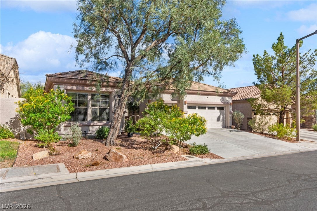 3290 Squire Street