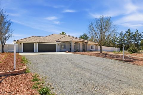 1131 China Street Pahrump NV 89048