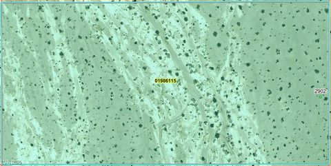 2902 N Falcon Road Amargosa Valley NV 89020