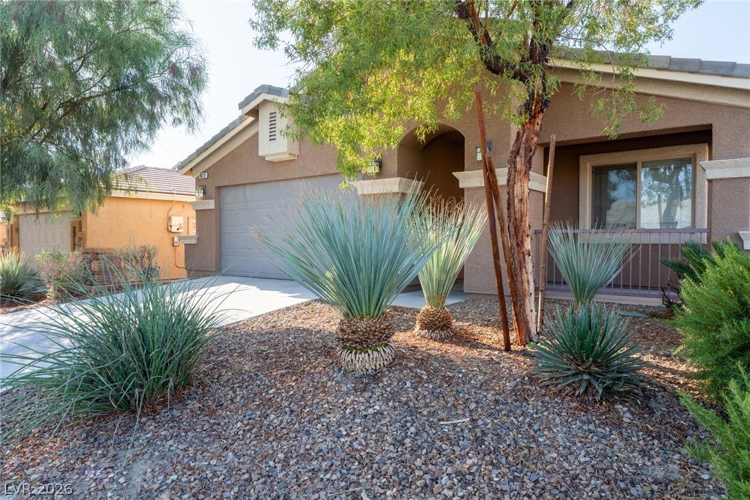 8079 Buffalo Ranch Avenue