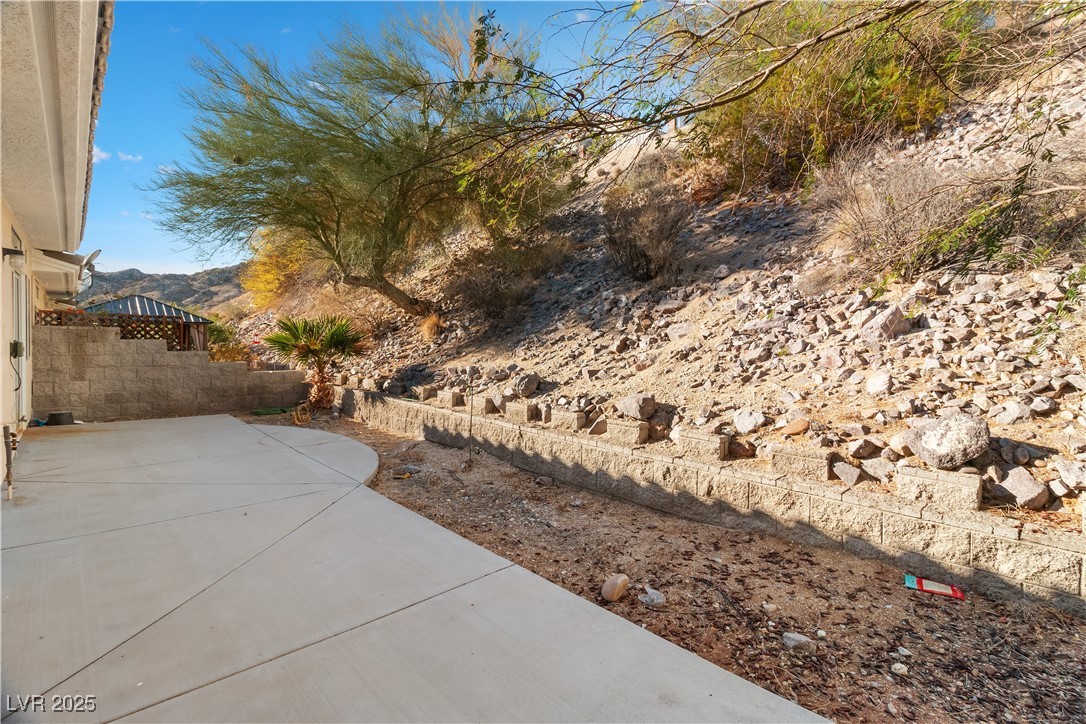 3342 Pheasant Canyon Way #1013, Laughlin, Nevada image 49