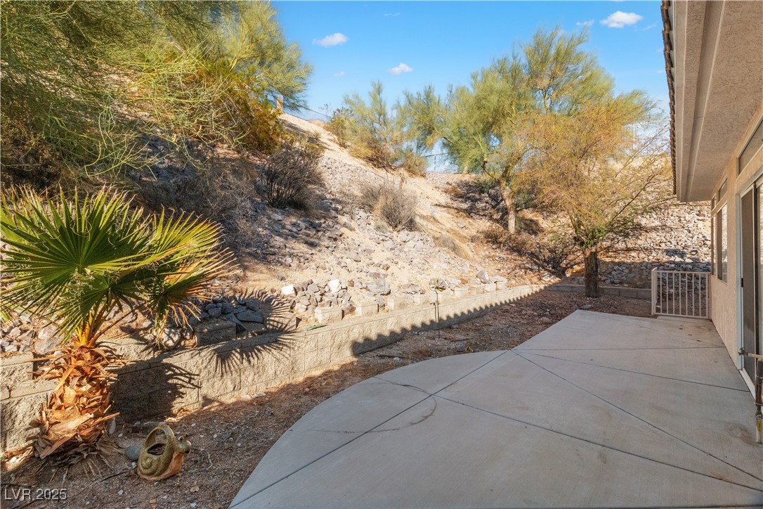 3342 Pheasant Canyon Way #1013, Laughlin, Nevada image 46