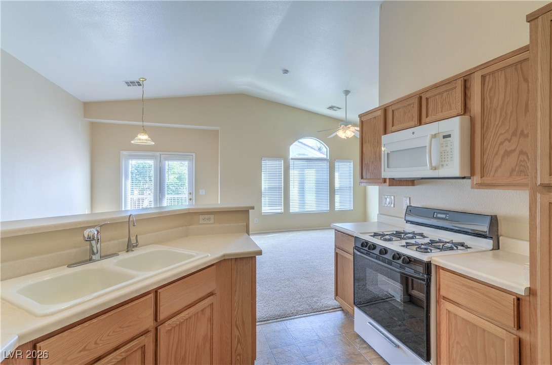 6576 Strolling Plains Lane 101