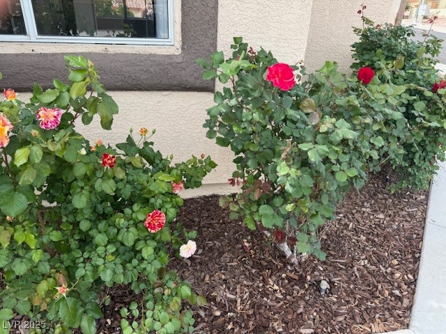 Henderson, Nevada 89002, United States, 4 Bedrooms Bedrooms, ,3 BathroomsBathrooms,Residential,Active,81597