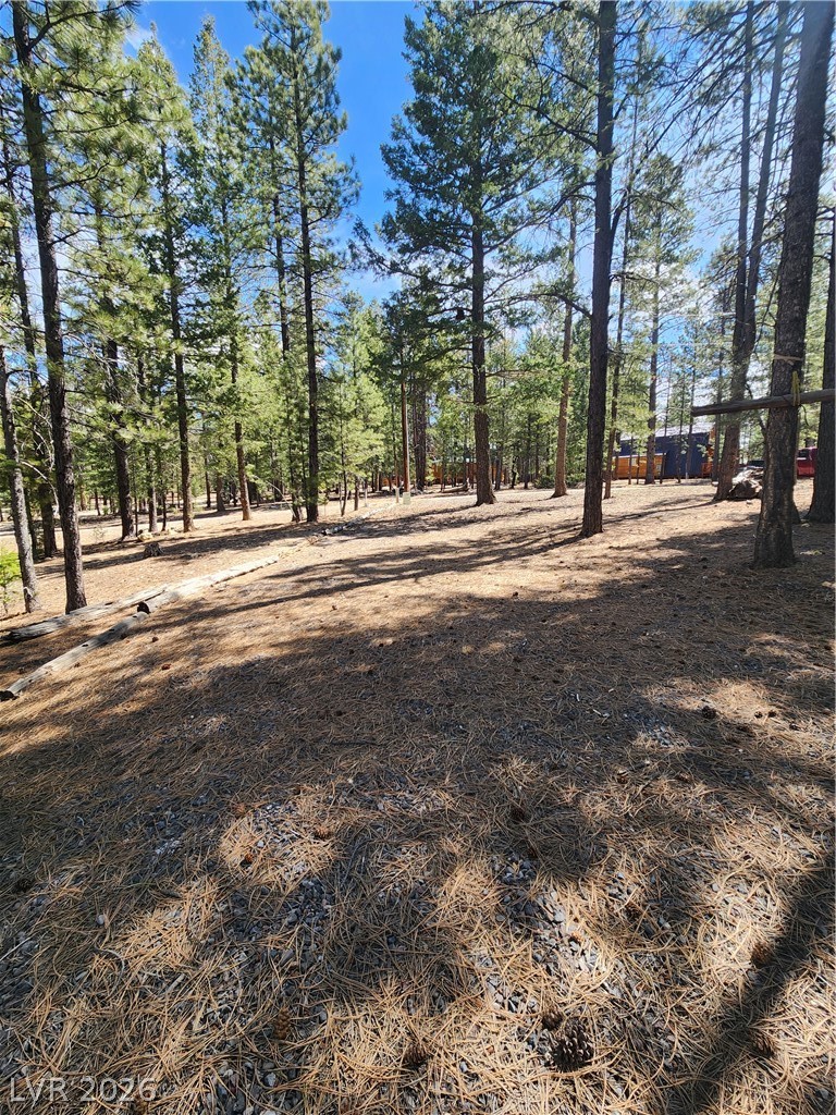 1275 N Piute Drive