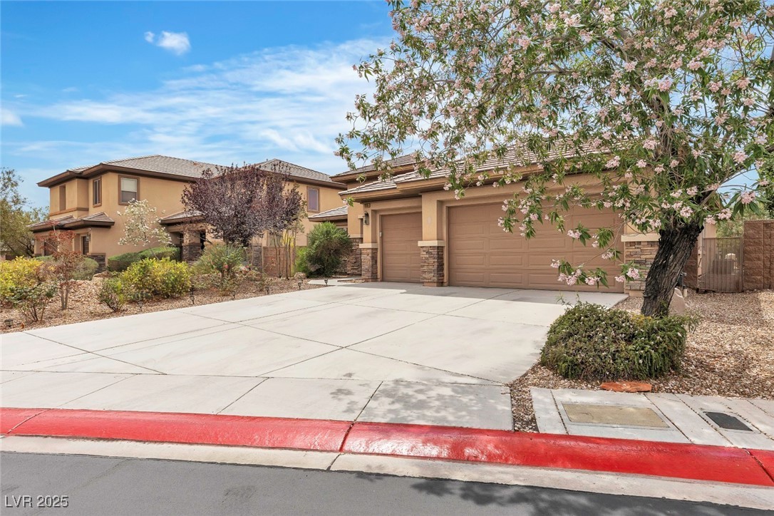 7505 Java Sparrow Street