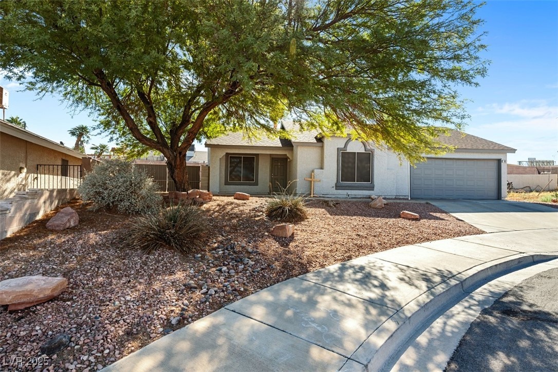 805 Lupine Court