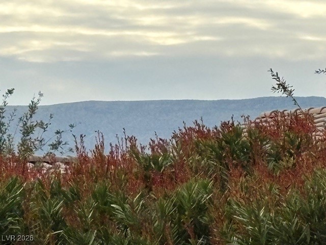 10459 Perla Bello Court