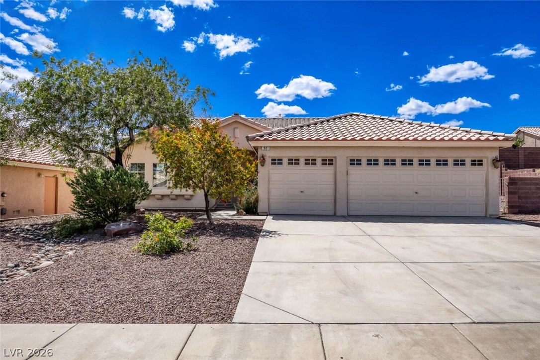 91 Horseweed Circle
