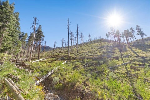 Tiny photo for 525 Snow Fall Trail, Mount Charleston, NV 89124 (MLS # 2775856)