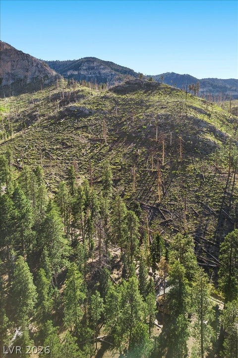 Tiny photo for 525 Snow Fall Trail, Mount Charleston, NV 89124 (MLS # 2775856)