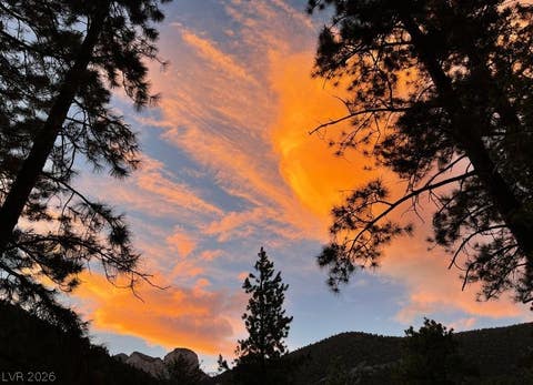 Tiny photo for 525 Snow Fall Trail, Mount Charleston, NV 89124 (MLS # 2775856)