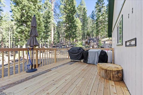 Tiny photo for 525 Snow Fall Trail, Mount Charleston, NV 89124 (MLS # 2775856)