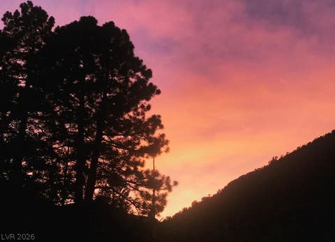 Tiny photo for 525 Snow Fall Trail, Mount Charleston, NV 89124 (MLS # 2775856)