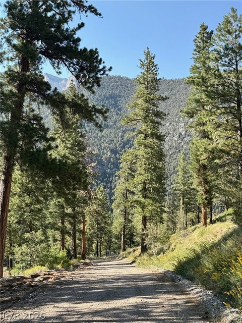 Tiny photo for 525 Snow Fall Trail, Mount Charleston, NV 89124 (MLS # 2775856)