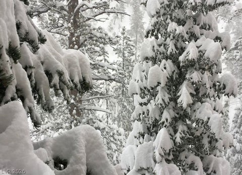 Tiny photo for 525 Snow Fall Trail, Mount Charleston, NV 89124 (MLS # 2775856)