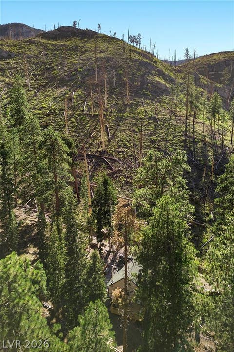 Tiny photo for 525 Snow Fall Trail, Mount Charleston, NV 89124 (MLS # 2775856)