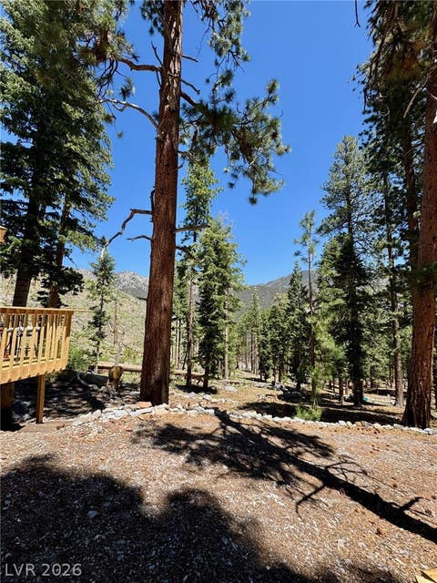 Tiny photo for 525 Snow Fall Trail, Mount Charleston, NV 89124 (MLS # 2775856)