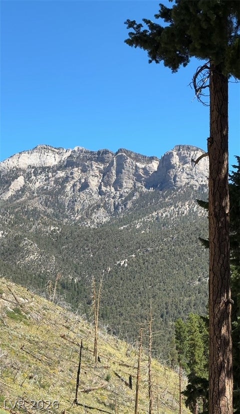 Tiny photo for 525 Snow Fall Trail, Mount Charleston, NV 89124 (MLS # 2775856)