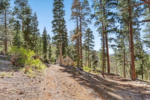 Tiny photo for 525 Snow Fall Trail, Mount Charleston, NV 89124 (MLS # 2775856)