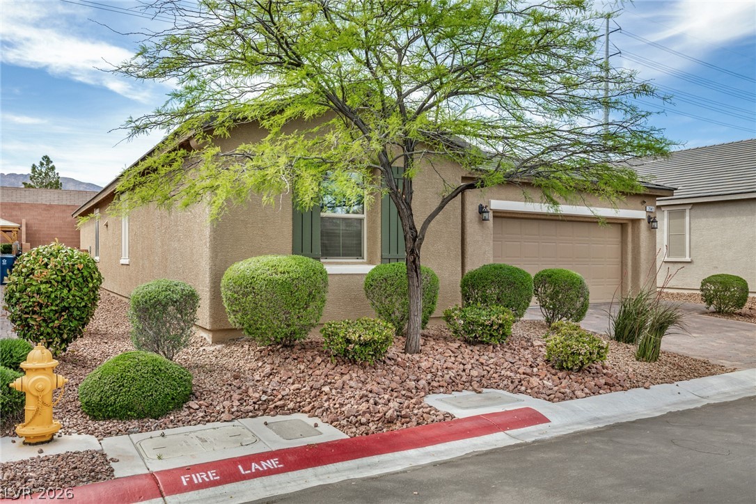 7141 Flora Lam Street