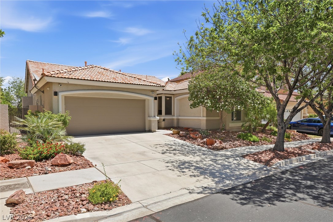 2204 Scarlet Rose Drive