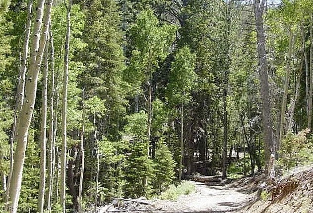 0 Deer Creek
