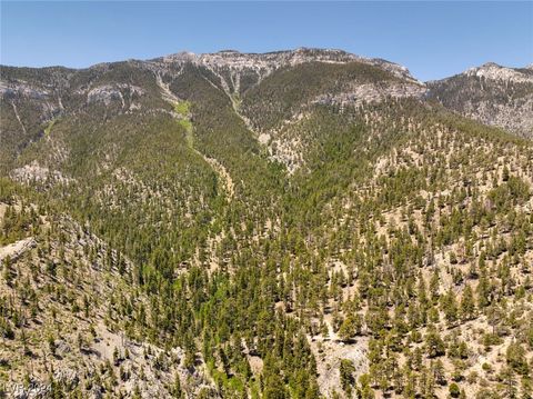 4085 Cougar Ridge Trail Mount Charleston NV 89124