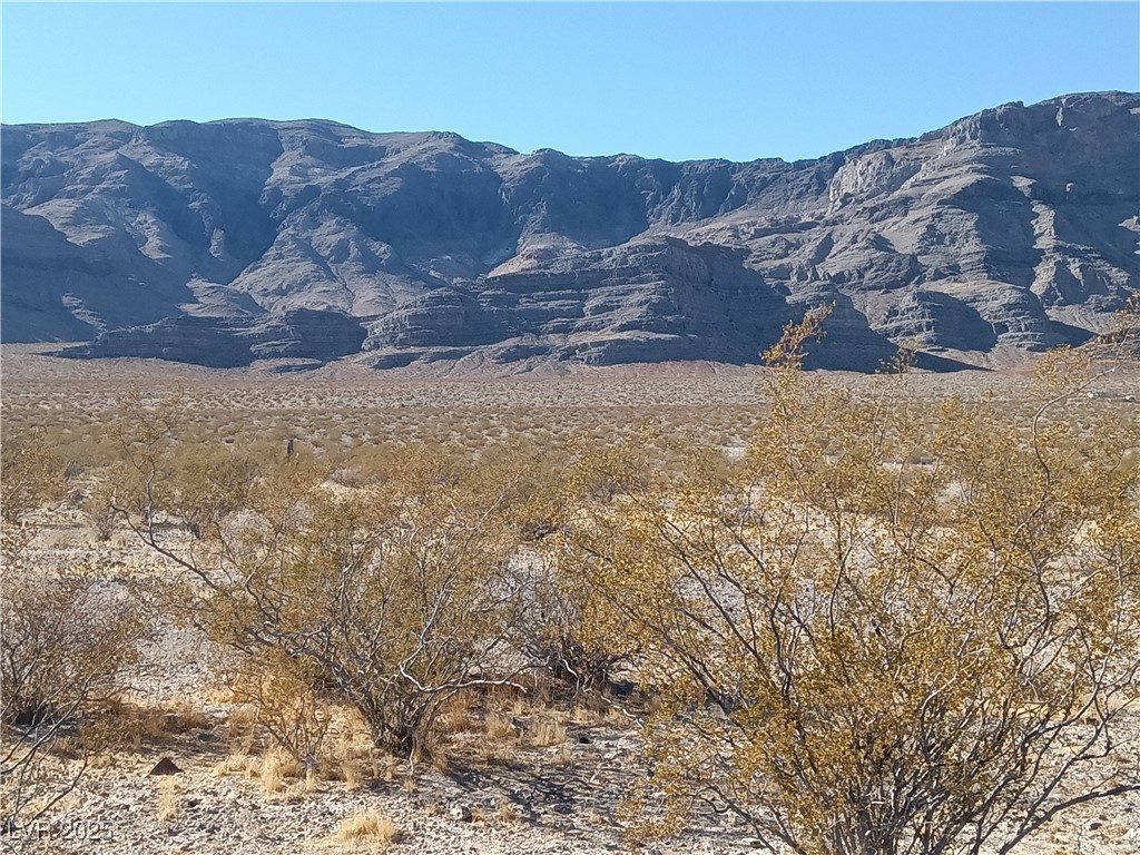 2440 W Duck Street, Pahrump, Nevada image 5