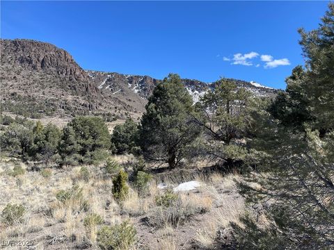 Vacant Land For Sale - P-16 Butte Valley<br/> White Pine County, Ely, NV 89301