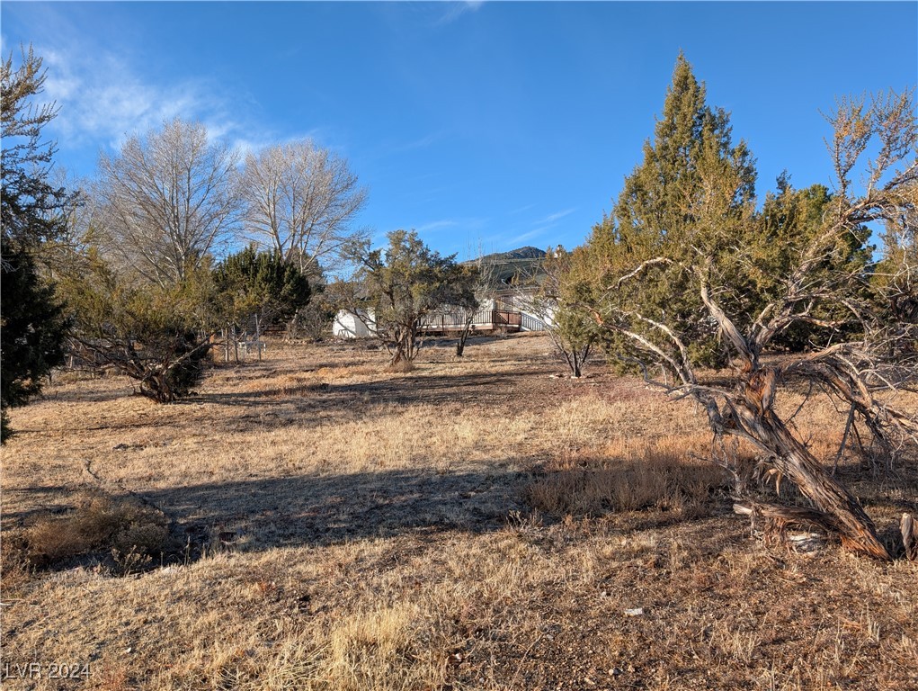 8 Franks Street, Pioche, Nevada image 4